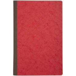 Piqûre De Journal Lot De 10 Couleurs Assorties - Le Dauphin