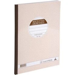 Manifold Autocopiant Spécial Recettes Et Dépenses - Exacompta