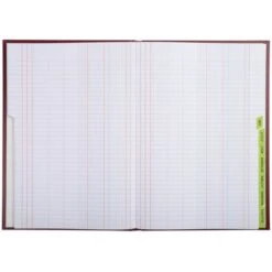 Brochure échéancier Lot De 5 Assortis- Le Dauphin