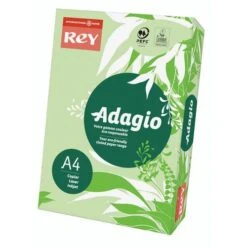 Ramette Adagio 200 Feuilles - 80 G- Couleur Vives - Rey