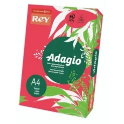 Ramette Adagio 500 Feuilles - 80 G - Couleurs Intenses - Rey