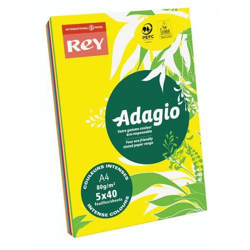 Ramette Adagio 200 Feuilles - 80 G- Couleur Vives - Rey 2 Ramette Adagio 200 Feuilles - 80 G- Couleur Vives - Rey – Image 2