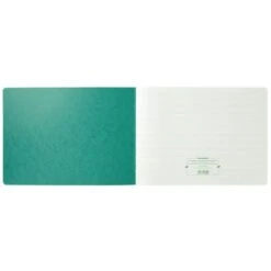 Exacompta Journal Des Recettes Et Dépenses Des Professions Libérales 27 X 38 Cm - 80 Pages