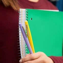 Boîte De 12 Stylos Feutre Flair® - Assortis Pastel - Paper Mate®