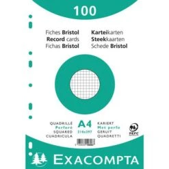Exacompta Paquet 100 Fiches Sous Film Quadrillé Perforé 210x297mm