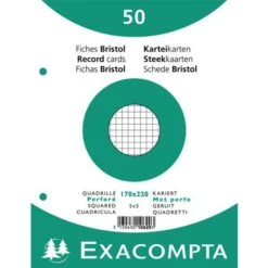 Exacompta Paquet 50 Fiches Sous Film Quadrillé Perforé 170x220mm