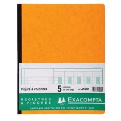 Exacompta Piqûre 32x25cm 5 Colonnes Sur 1 Page 31 Lignes 80 Pages