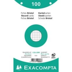 Exacompta Paquet 100 Fiches Sous Film Quadrillé Perforé 125x200mm