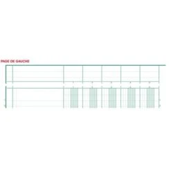 Exacompta Piqûre 29,7x21cm à Tête Paresseuse 13 Colonnes Sur 2 Pages -Promos Papeterie Boutique AIG3600305