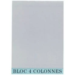 Exacompta Bloc De Contrôle Comptable - 4 Colonnes -Promos Papeterie Boutique AIG4857595