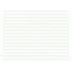 Exacompta Feuilles Listing Zoné Vert 380x11 1pli Bandes Non Détachables 70g